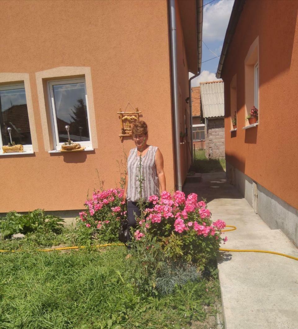 Apartmani ,,Bato,, Sjenica Exterior foto